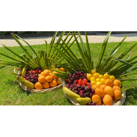 Corbeille de fruits de saison - Maison Carli Traiteur à Nantes